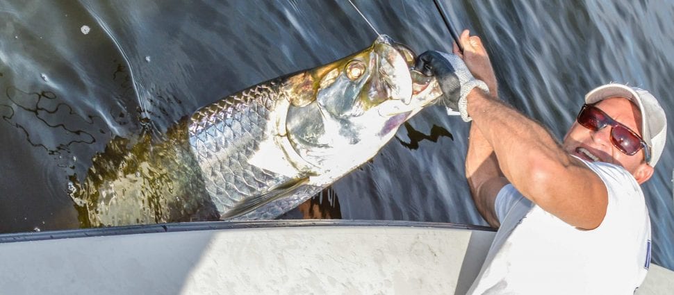 Tarpon Ali edit (4 of 15)