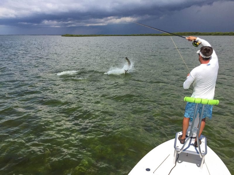 A fly fisherman battling a tarpon on the bow of a boat in Homosassa