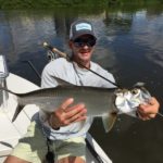 A fly fisherman holding a freshly caught tarpon in homosassa
