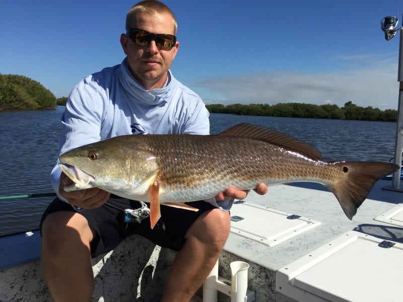 angler with a homosassa redfish in spring