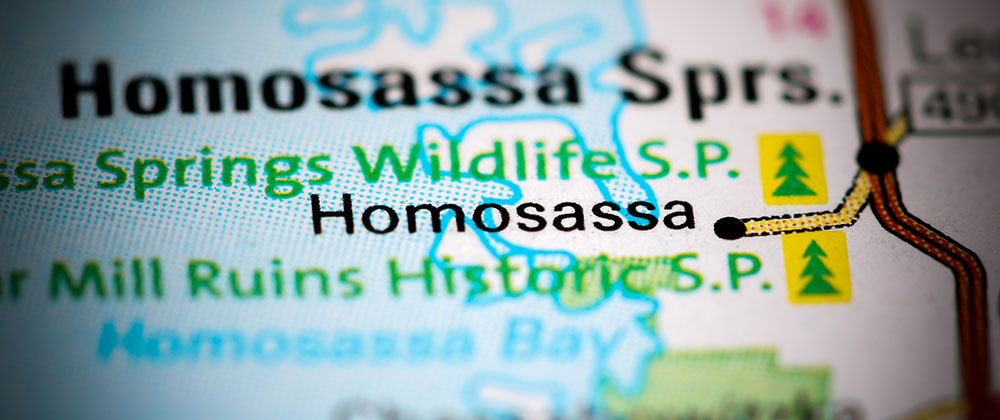 Homosassa Fishing charter