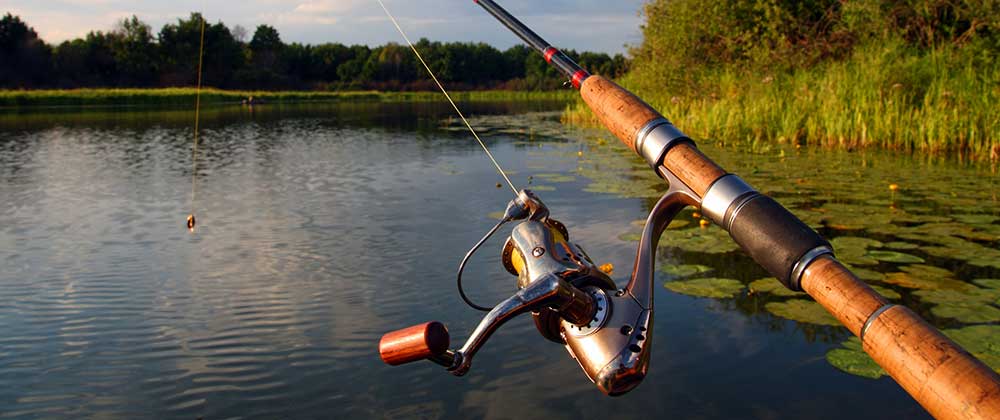 Best Fishing Spots in Homosassa