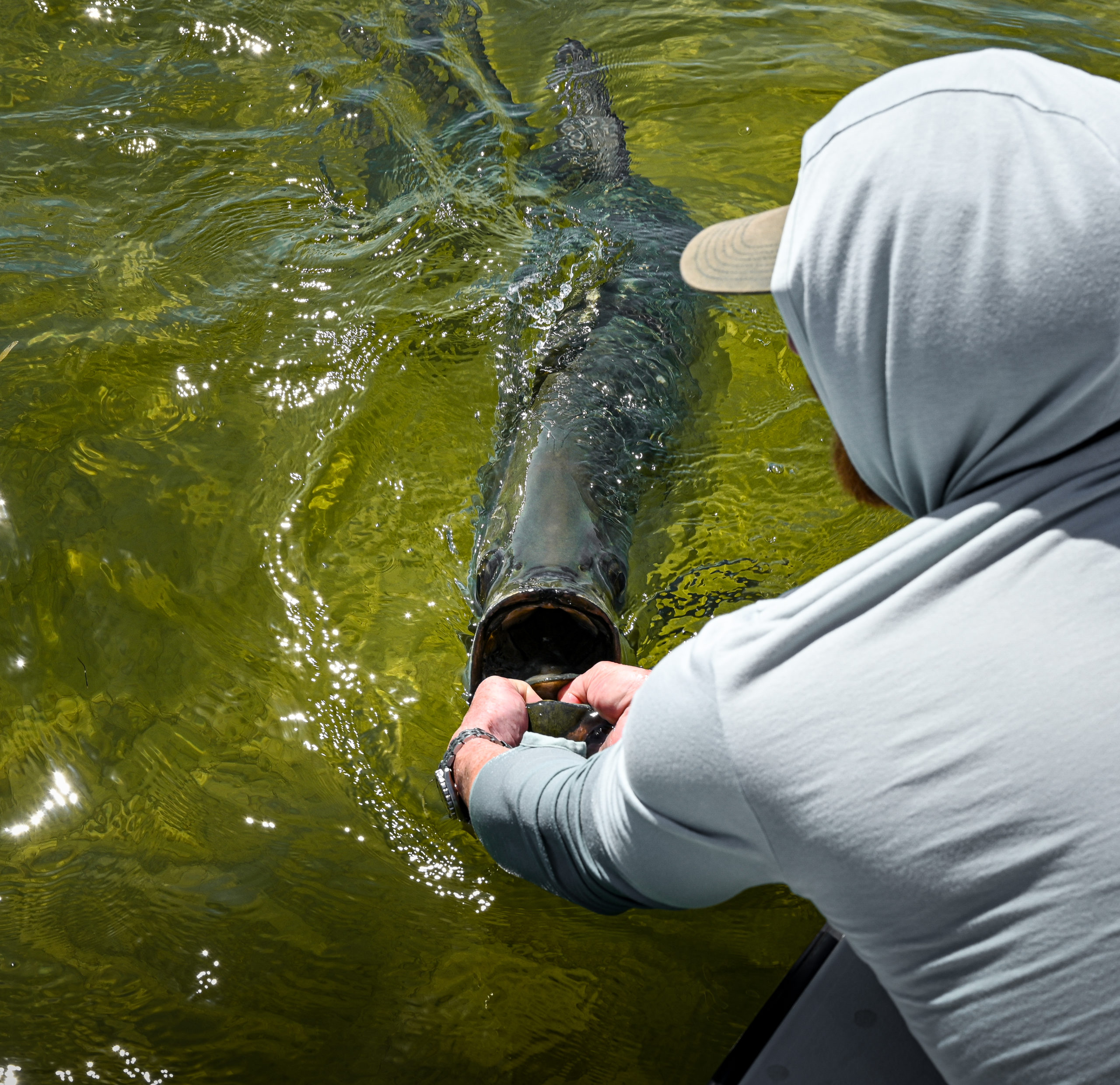 fishing Homosassa Florida