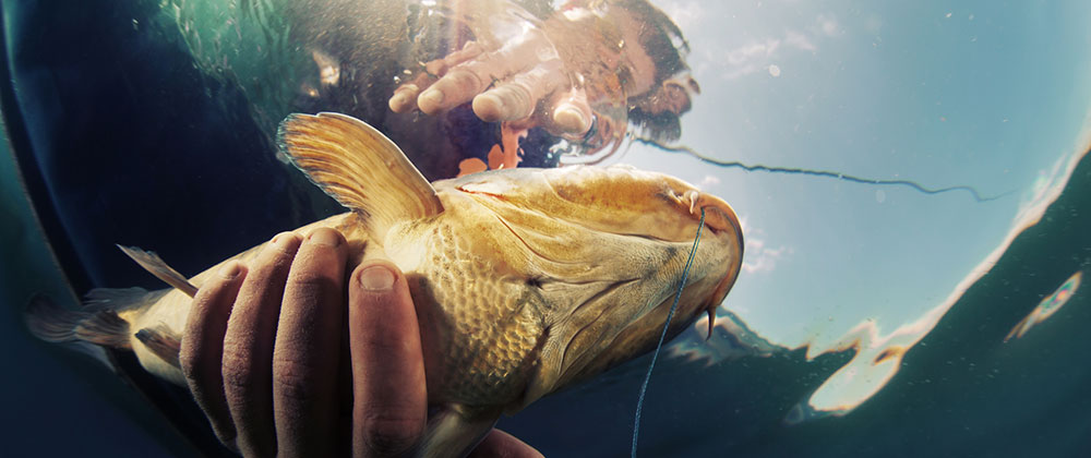 Homosassa summer fishing