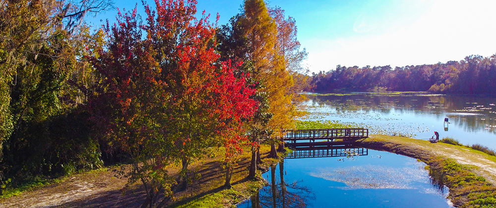 Homosassa Fall fishing