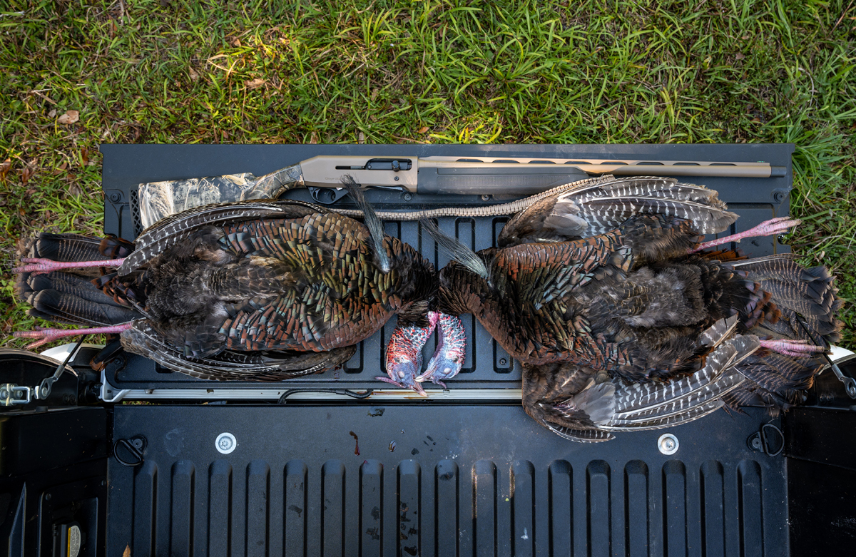 Hunting Osceola Turkeys